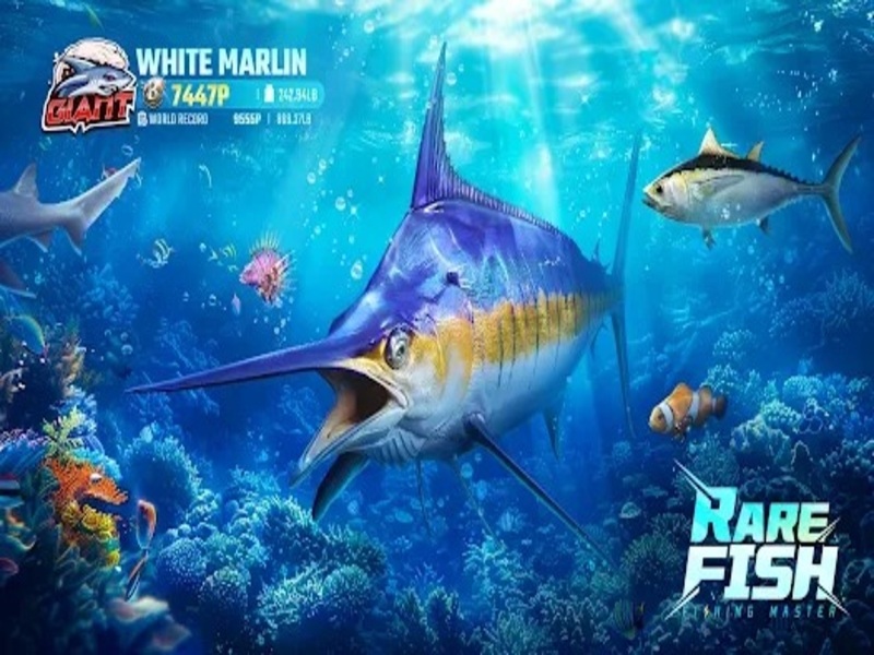 Tải Fishing Master Apk V2.5.226526 Cho Android So Sánh Bản Gốc Và Bản Fishing Master Apk